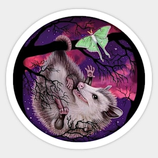 Opossum and Luna Moth Sticker